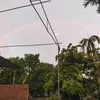 ngocha.260315