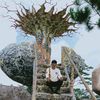 githotubaba