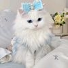 najwa.nahar