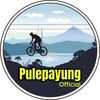 pulepayung_official