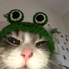 liane_won