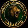 zamiranasir69gmail.com