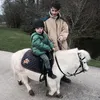sidaboud4