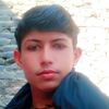 user88008023069284