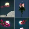 farhanbhatti8202