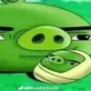 srpato246