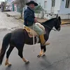 ricardodelima228