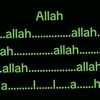 shabbirdogar13gmail.com1