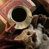 _lljs6