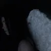 lymi_qx