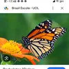 ana_maria_138338
