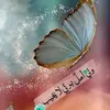 a7m3d.y