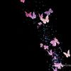 habiba.hamdon