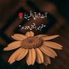 user10300270294546