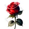 user3590932193192