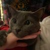 soren_blare