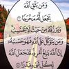 ommohmed2664