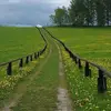 بوصقر المسباح