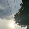 4mbizz
