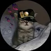 jinnyverpaabay