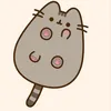 gato_kibe