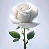 user1992196916558