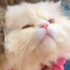 bobo_07474