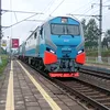 vemisin