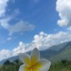 supriyalimbu022