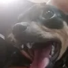 egooooorr1