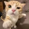 hanggi_0196