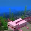 v1nstream
