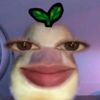 nottsevvy