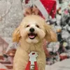 ambri_lucky