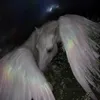 glittering_critter