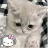 rmln.yumilyn