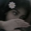 srity_moni6