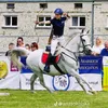 .konik8