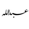 abdullah.ayman17