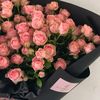 mariam_gy4