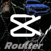 bot_wer