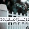 user7085340354704