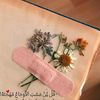 noor.huda71