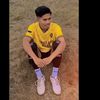 nistelroyedi
