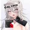 calyfix_2002
