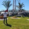 eldonrochaaires