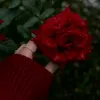 d._.bivch