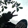 irmah.jhi