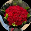 aali3111h5x