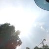 lili_03570